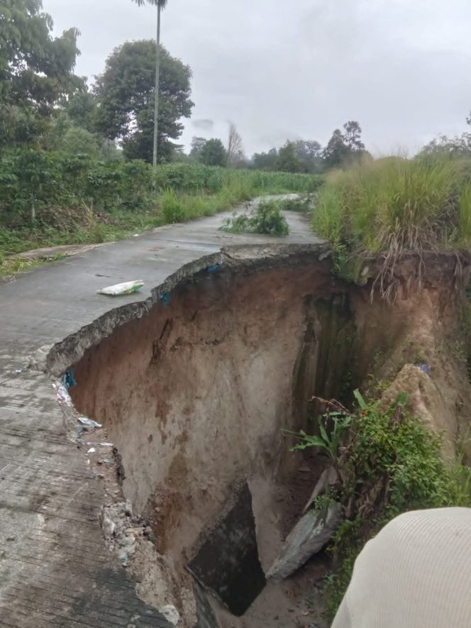 
					Longsor di Kecamatan Buay Sandang Aji Putus Akses Jalan, Pemkab OKU Selatan Bergerak Cepat Pastikan Keselamatan Warga