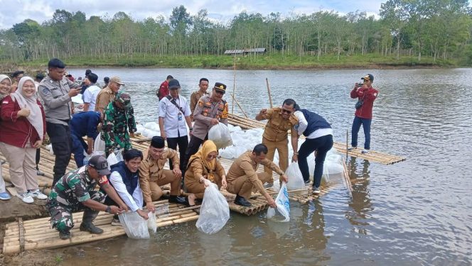 
					Pemkab OKU Selatan Tebar 110 Ribu Bibit Ikan di Tebat Gabus dan Tebat Bengkok, Tingkatkan Kelestarian Perairan dan Ketahanan Pangan