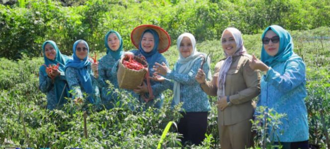 
					Ketua TP-PKK OKU Selatan Panen Cabai di Tanjung Jaya, Dorong Pemberdayaan dan Kesejahteraan Masyarakat Desa